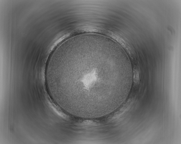 X0000110910390200906181347