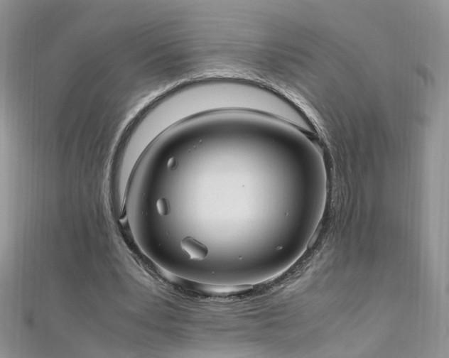 X0000110910391200906181347