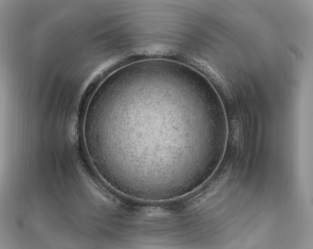 X0000110910392200906181347