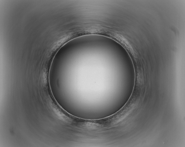 X0000110910393200906181347