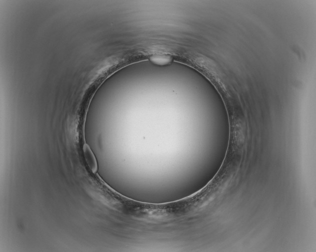 X0000110910395200906181347