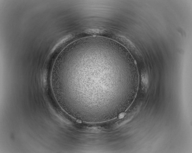 X0000110910396200906181347