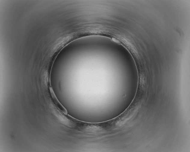 X0000110910397200906181347