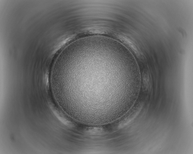 X0000110910398200906181347