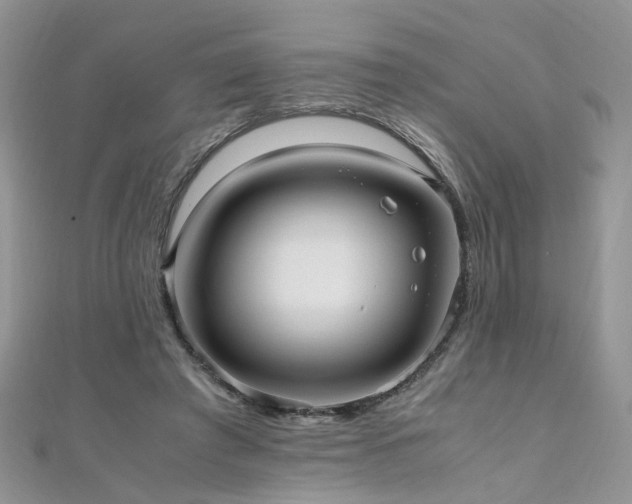 X0000110910401200906181347