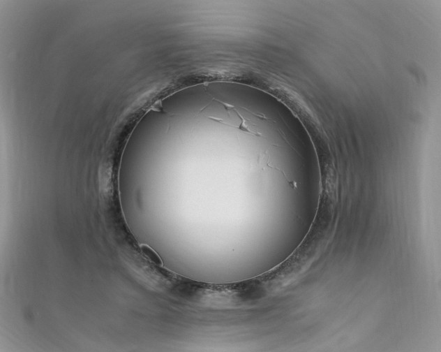 X0000110910403200906181347