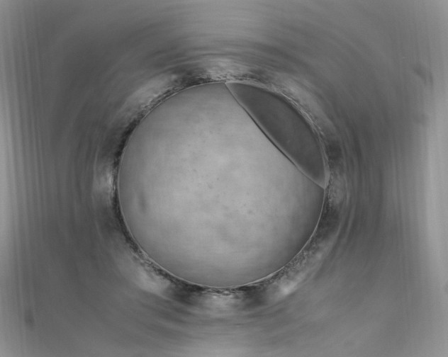 X0000110910405200906181347