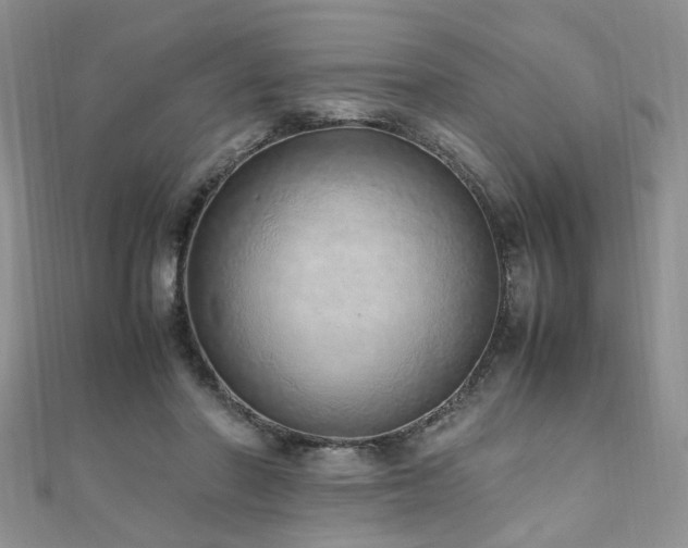 X0000110910406200906181347