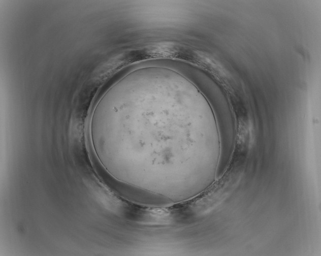 X0000110910409200906181347