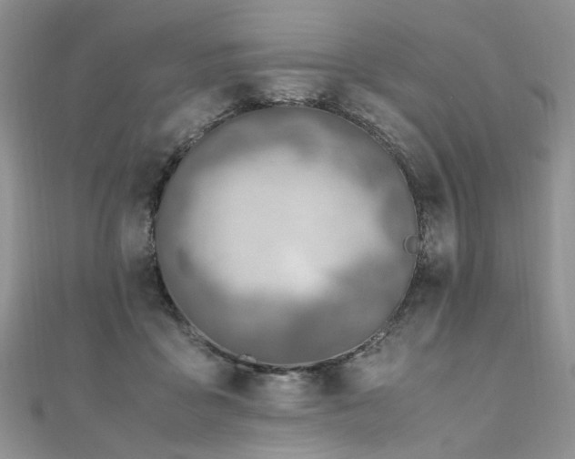 X0000110910411200906181347