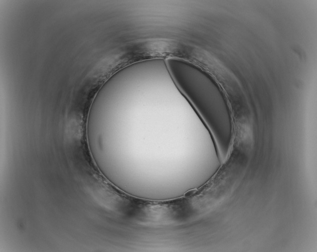 X0000110910413200906181347