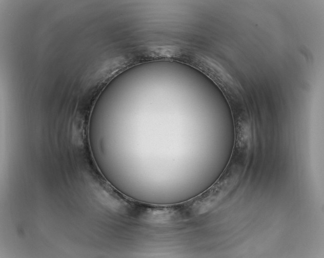 X0000110910414200906181347