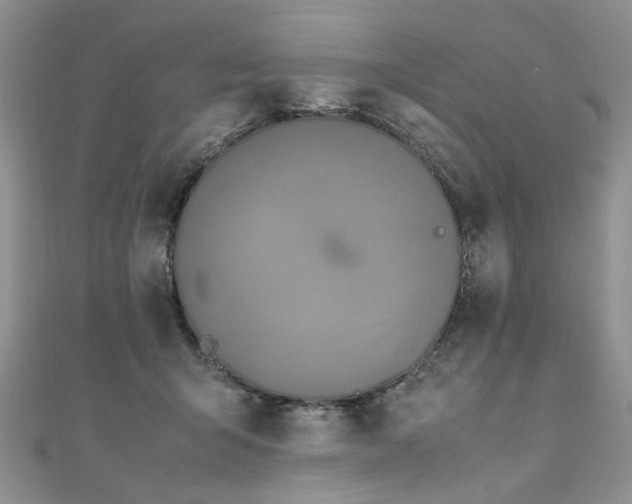 X0000110910415200906181347