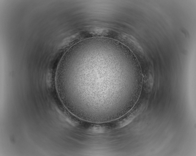 X0000110910416200906181347