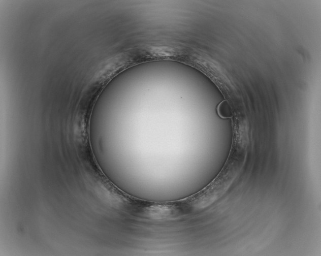 X0000110910418200906181347