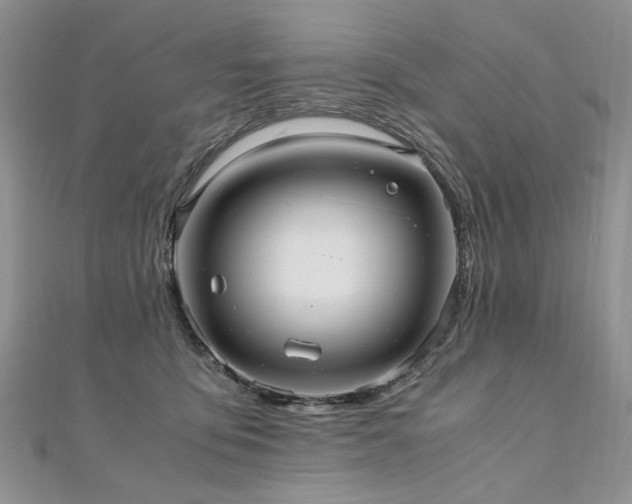 X0000110910419200906181347