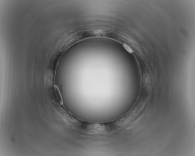 X0000110910421200906181347