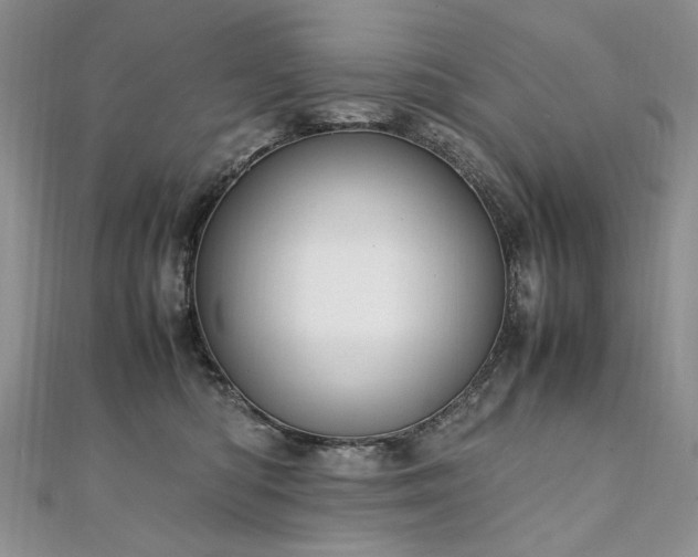 X0000110910422200906181347