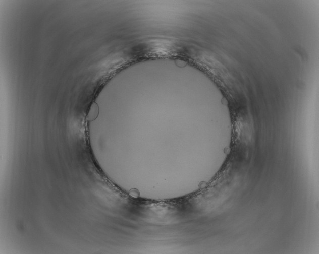 X0000110910423200906181347