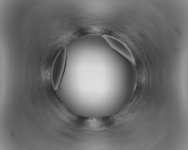 X0000110910425200906181347