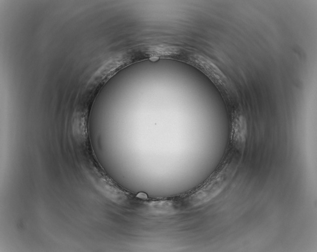 X0000110910426200906181347