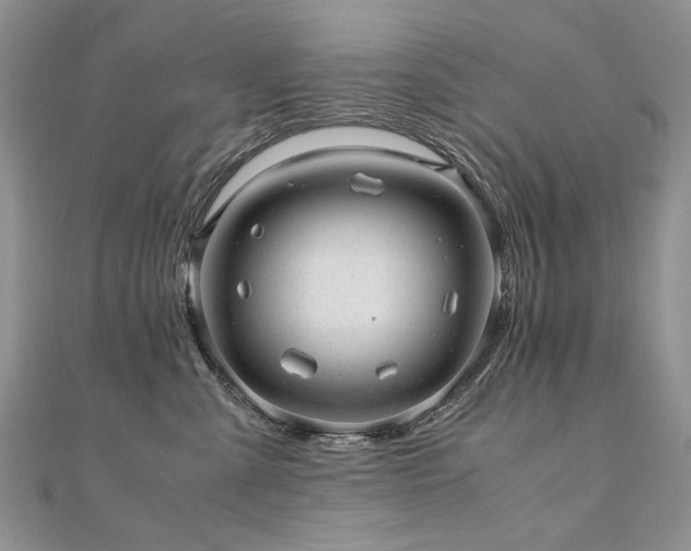 X0000110910427200906181347