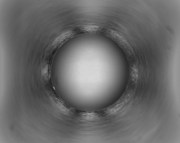 X0000110910428200906181347