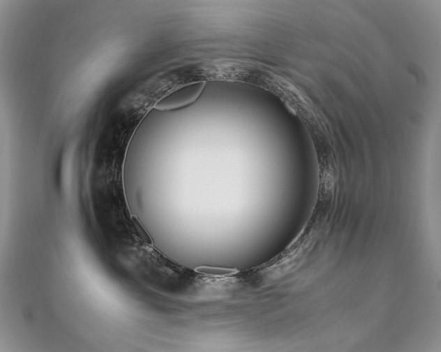 X0000110910429200906181347