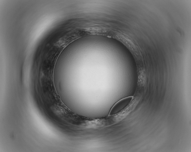 X0000110910430200906181347