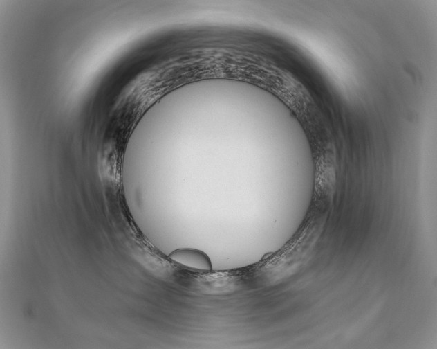 X0000110910431200906181347