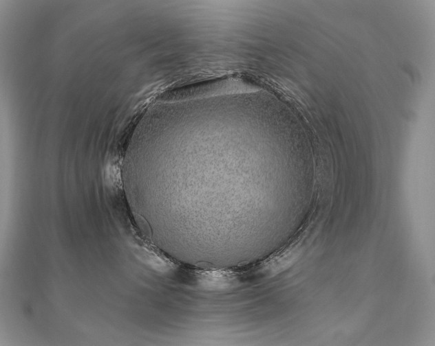 X0000110910432200906181347