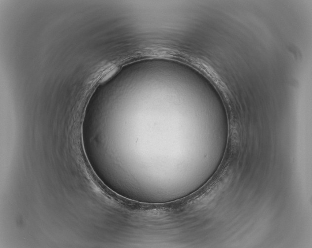 X0000110910433200906181346