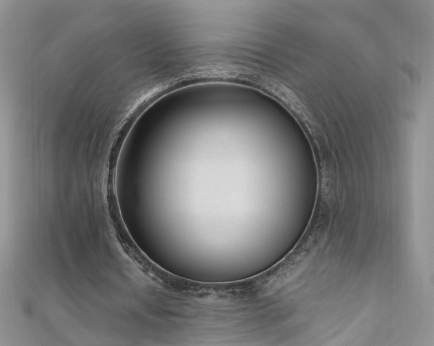 X0000110910434200906181346