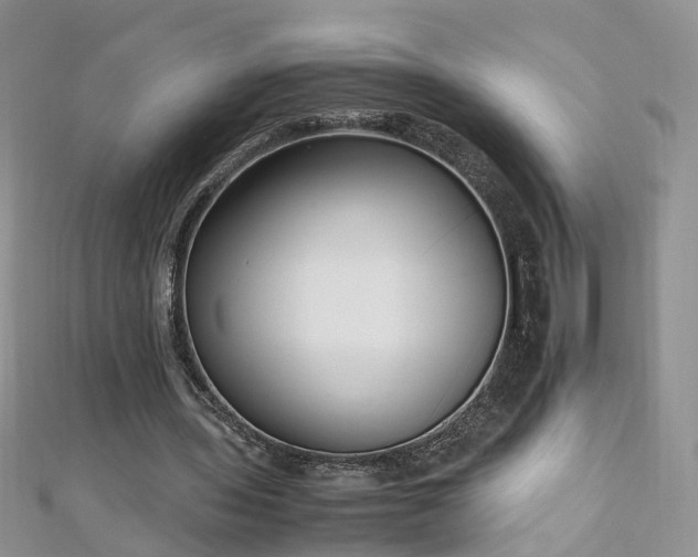 X0000110910435200906181346