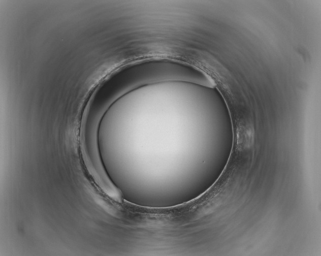 X0000110910436200906181346