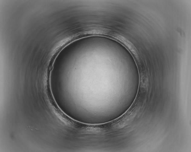 X0000110910437200906181346