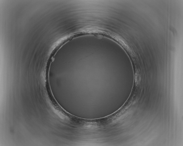 X0000110910438200906181346