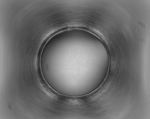 X0000110910439200906181346