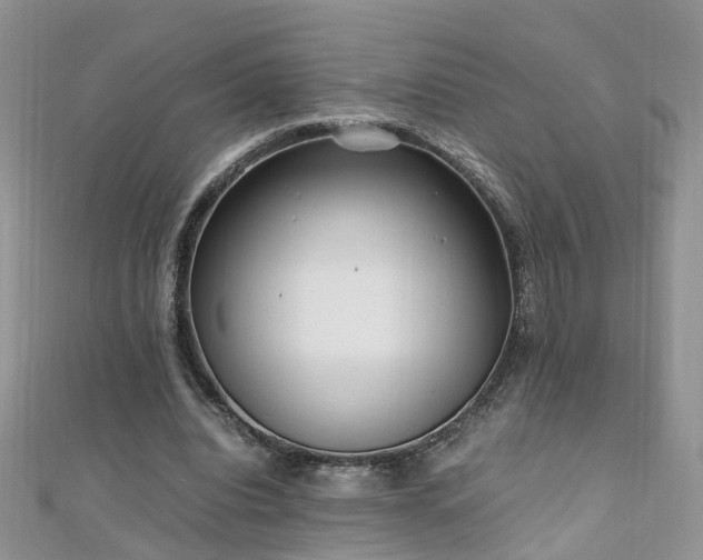 X0000110910440200906181346