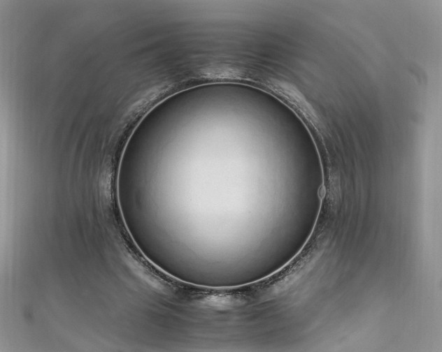 X0000110910441200906181346