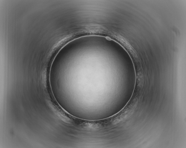 X0000110910442200906181346