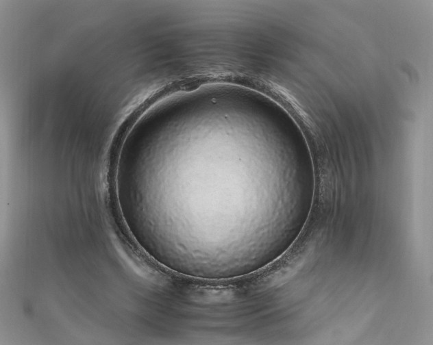 X0000110910443200906181346