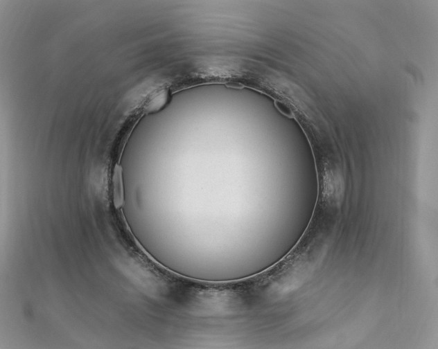 X0000110910444200906181346