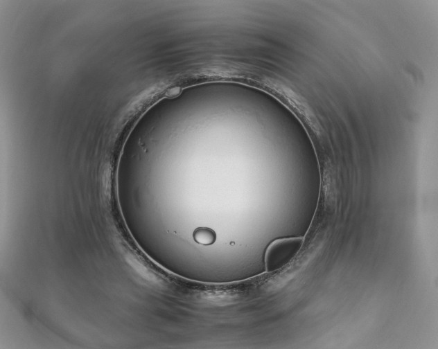 X0000110910445200906181346