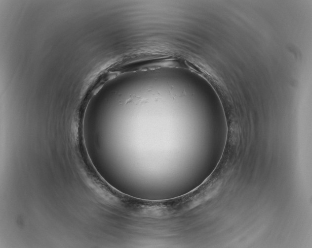 X0000110910446200906181346