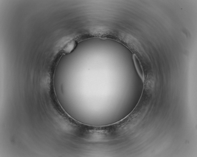 X0000110910448200906181346