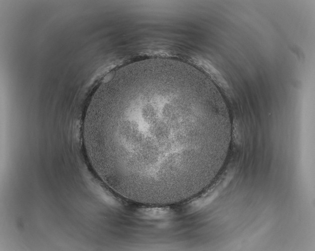 X0000110910449200906181346