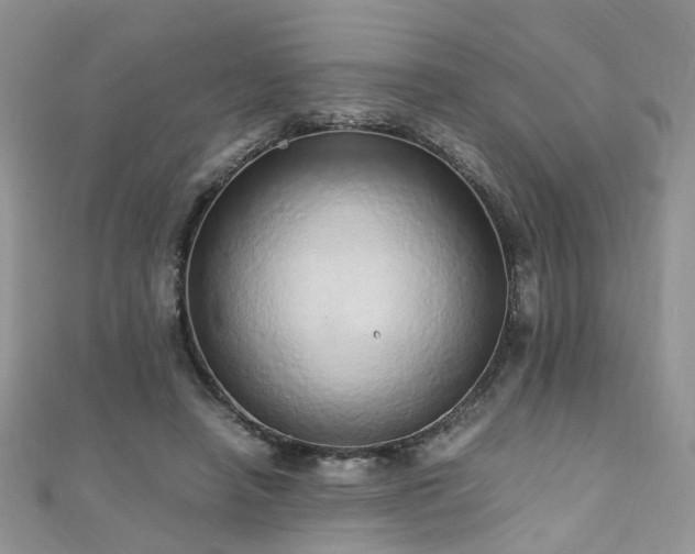 X0000110910450200906181346