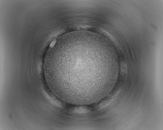 X0000110910451200906181346