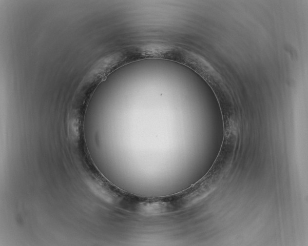 X0000110910452200906181346